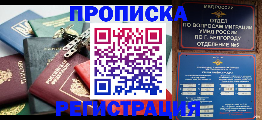 временная регистрация недорого в Звенигово